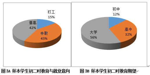 打工子弟学校学生初中后流向哪里？